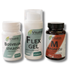 PAKET: MAGNEZIJ, BOSVELIJA IZVLEČEK, FLEX GEL