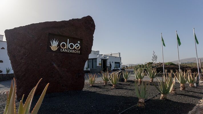 ALOE VERE