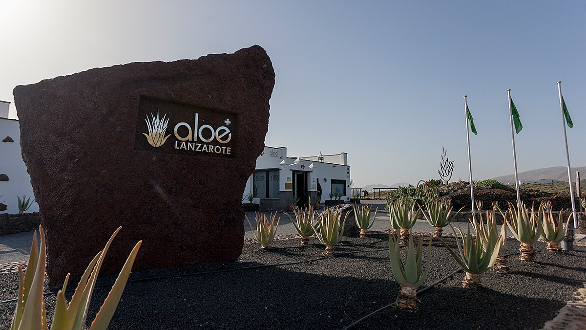 ALOE VERE