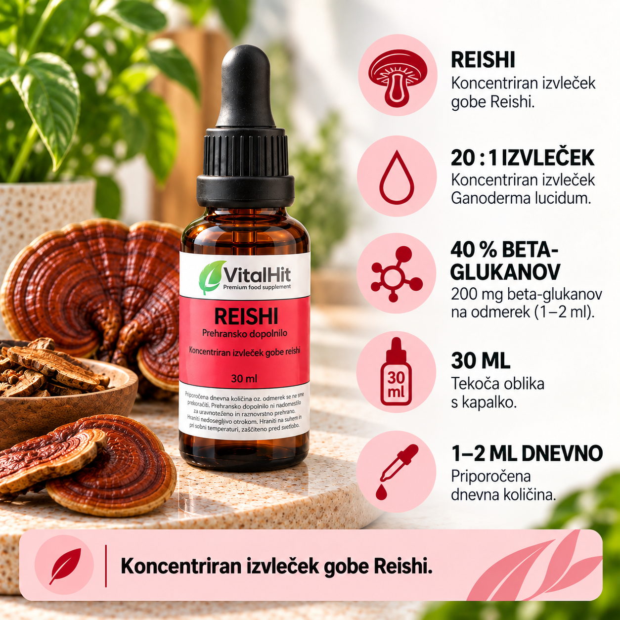 REISHI - koncentriran izvleček - slika 3